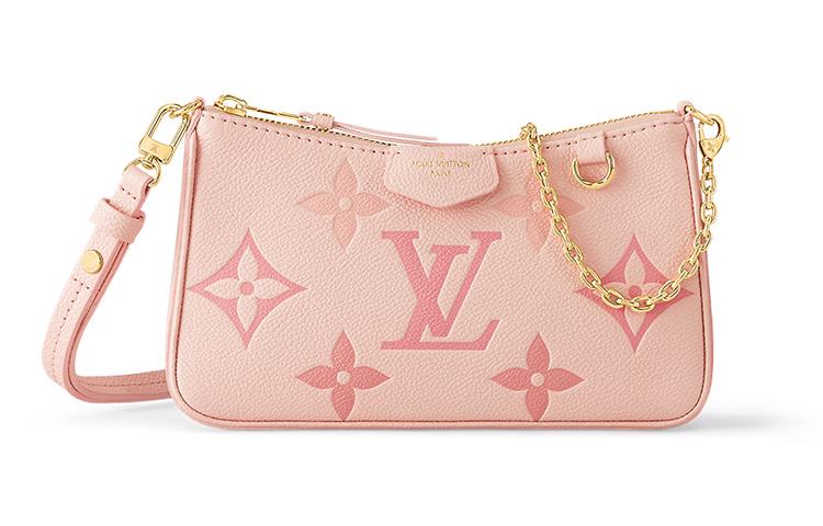 LOUIS VUITTON Easy pouch