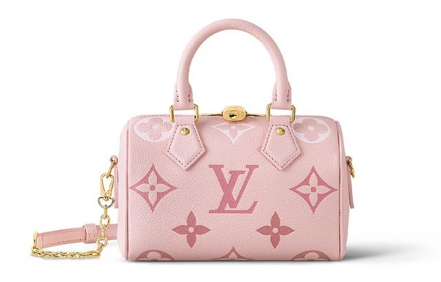 LOUIS VUITTON Speedy 20 Logo