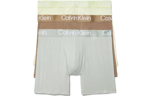 Calvin Klein Logo 3