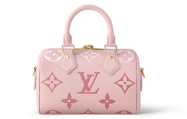 LOUIS VUITTON Speedy 20 Logo