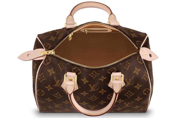 LOUIS VUITTON Speedy 25 25