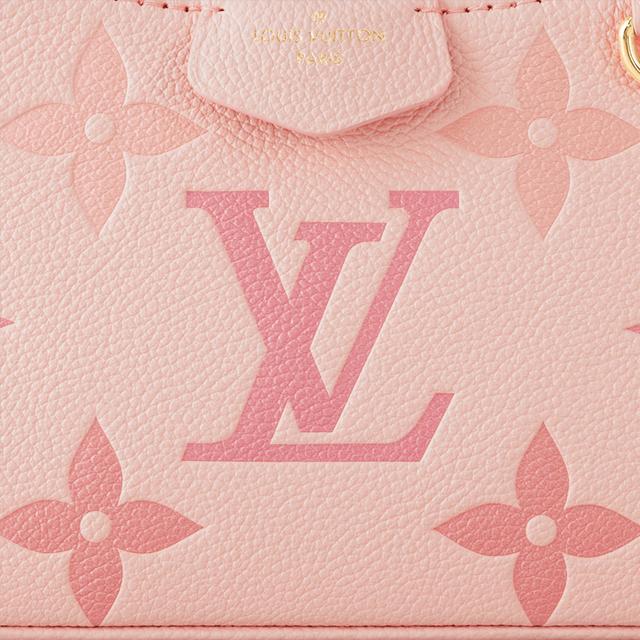 LOUIS VUITTON Easy pouch