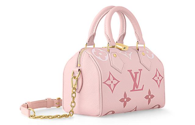 LOUIS VUITTON Speedy 20 Logo