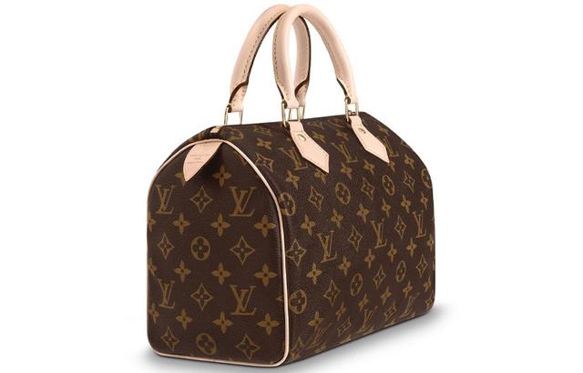 LOUIS VUITTON Speedy 25 25