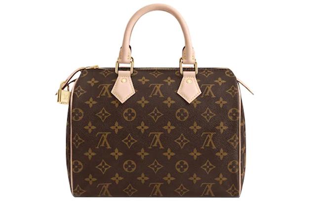 LOUIS VUITTON Speedy 25 25