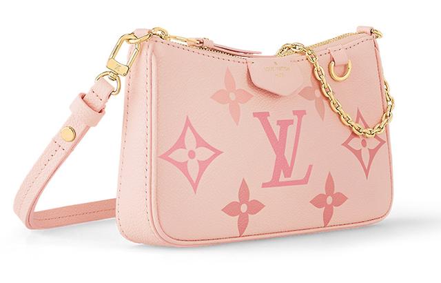 LOUIS VUITTON Easy pouch