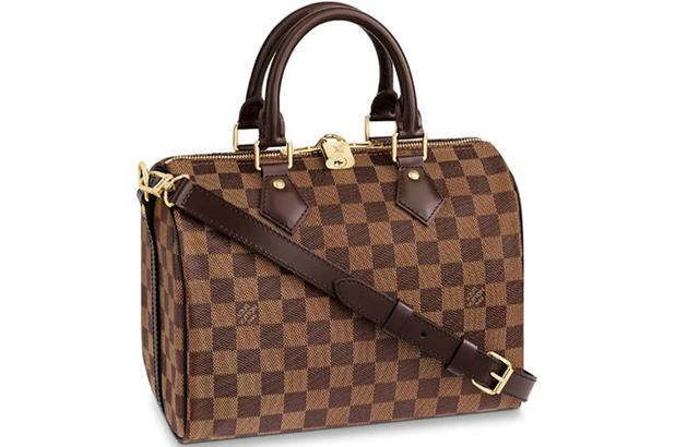 LOUIS VUITTON Speedy 25