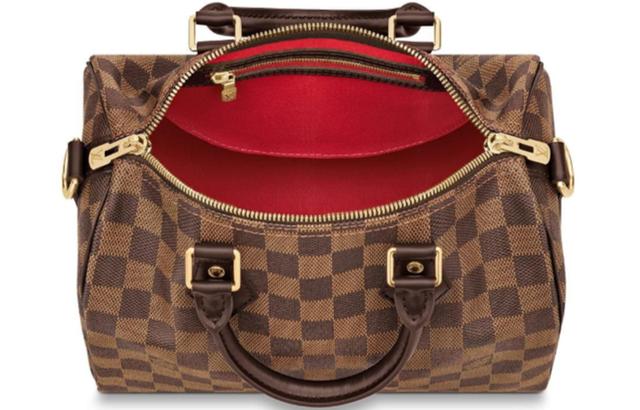 LOUIS VUITTON Speedy 25