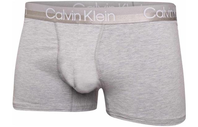 Calvin Klein Logo 3