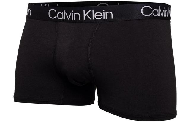 Calvin Klein Logo 3