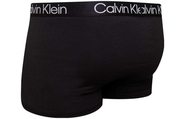 Calvin Klein Logo 3