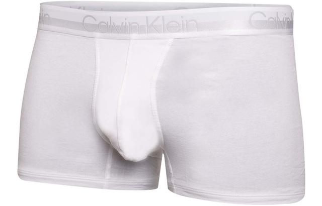 Calvin Klein Logo 3