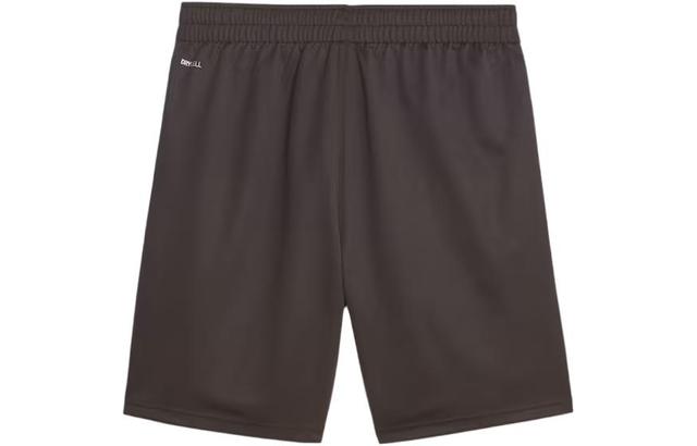 PUMA Bvb Dortmund Sports Shorts