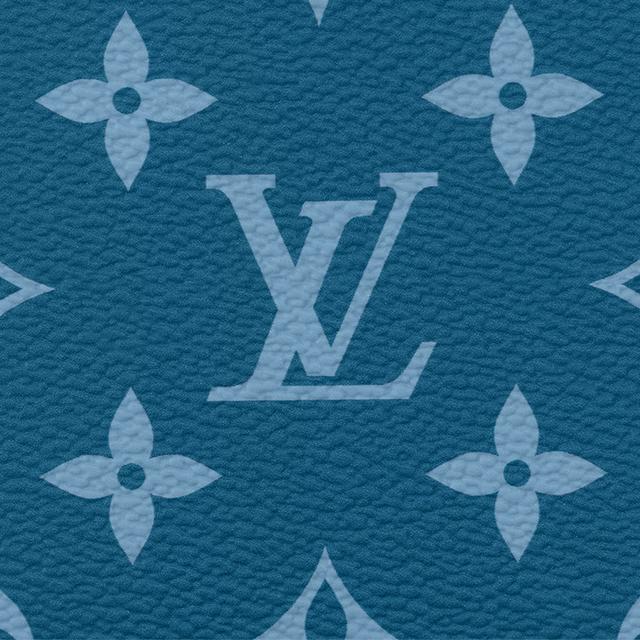 LOUIS VUITTON Slender Logo