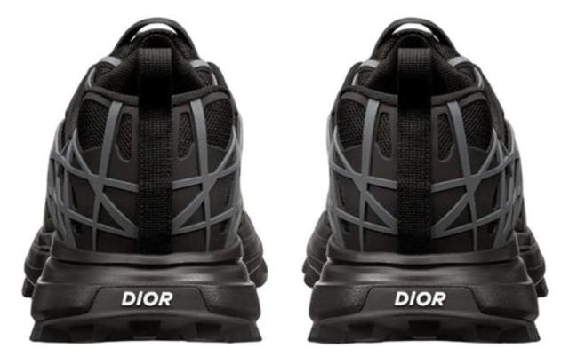 DIOR B31