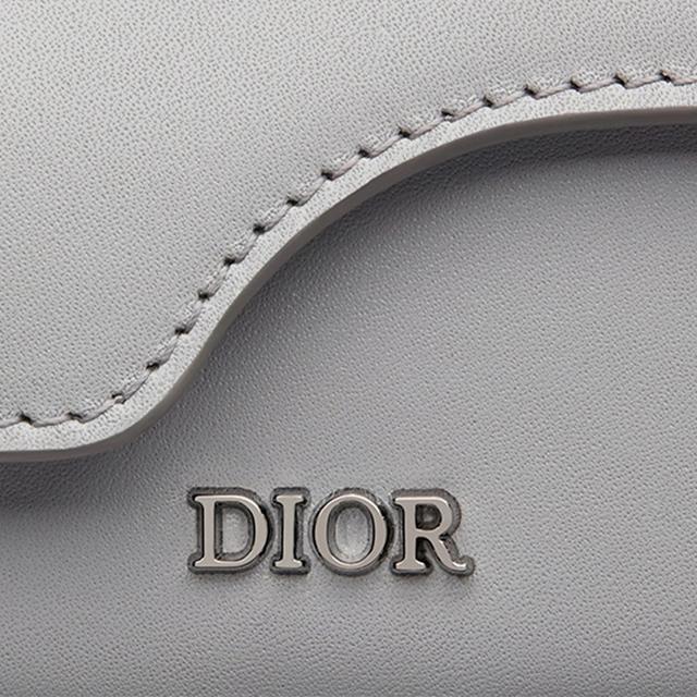 DIOR AirPods Pro