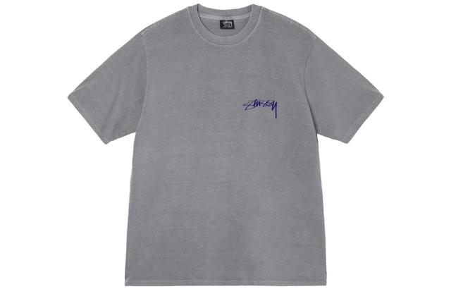 Stussy Arachnid Tee Pigment Dyed T