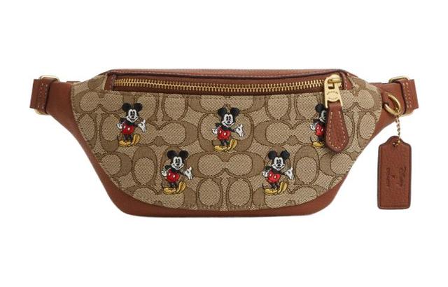 COACH X Disney Gharter 34