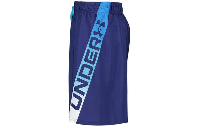 Under Armour UA Point Breeze Logo Swim Volley Shorts