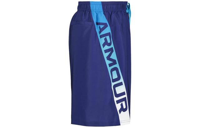 Under Armour UA Point Breeze Logo Swim Volley Shorts