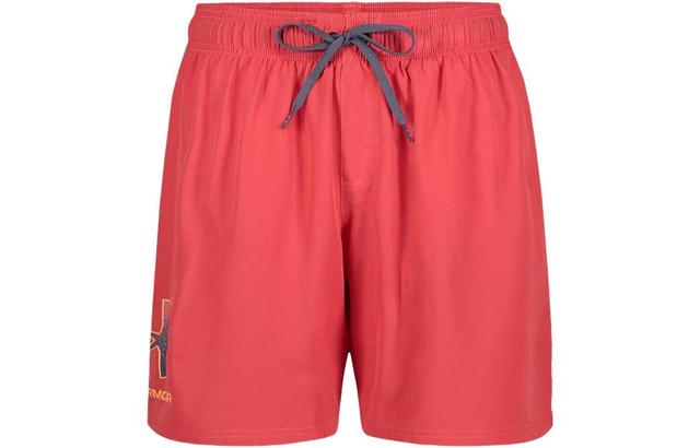 Under Armour UA Gradient Logo Swim Volley Shorts Save this item