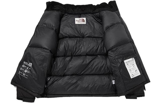 THE NORTH FACE NOVELTY NUPTSE Logo