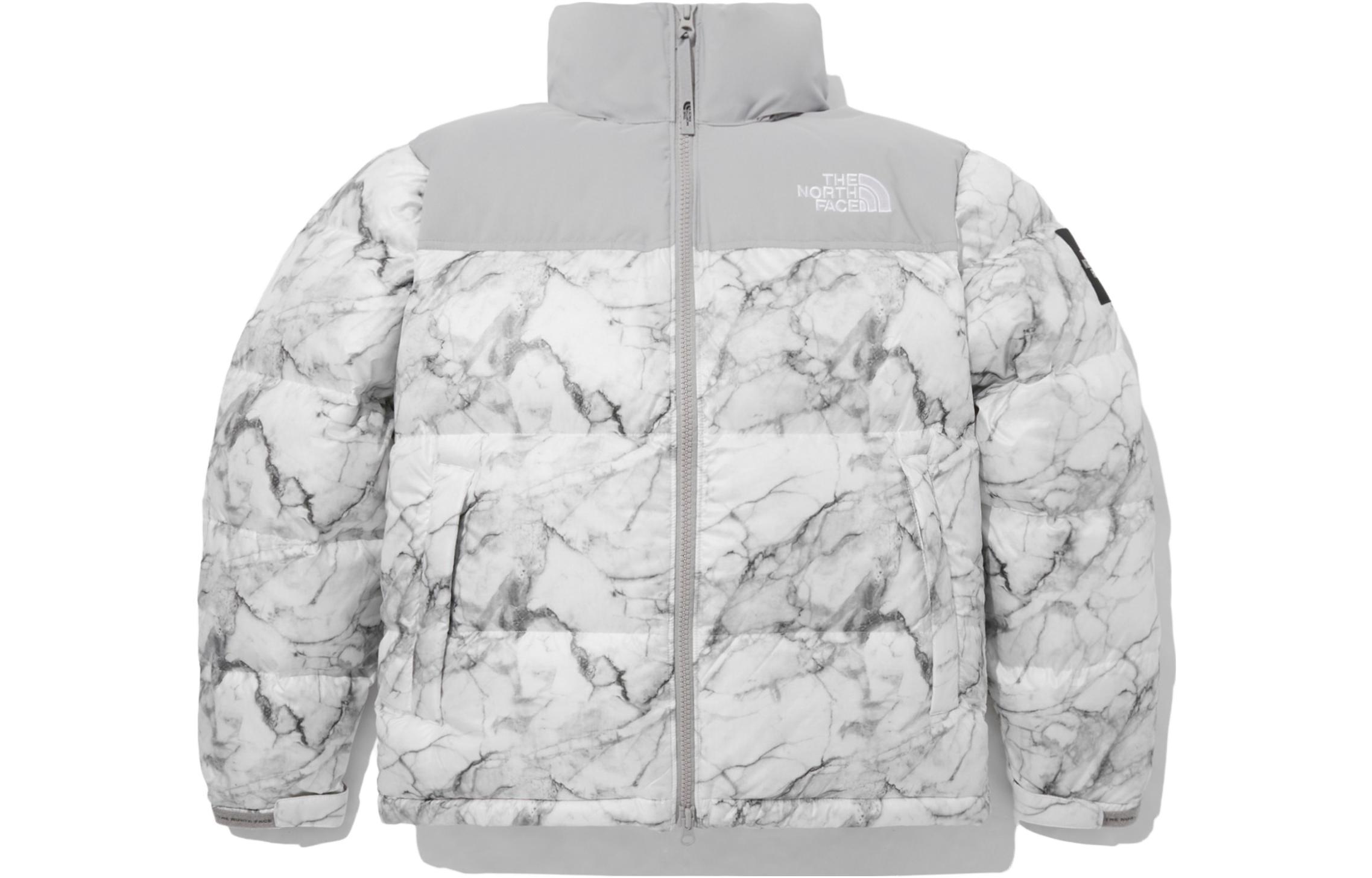 THE NORTH FACE FW23 1996 Eco Novelty Nuptse