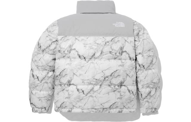 THE NORTH FACE FW23 1996 Eco Novelty Nuptse