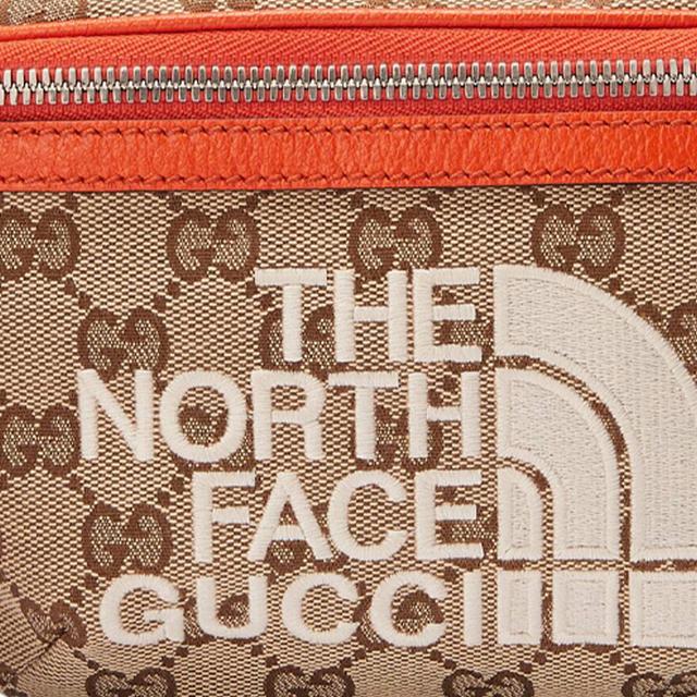 GUCCI x THE NORTH FACE Logo