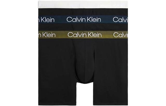 Calvin Klein Logo 3