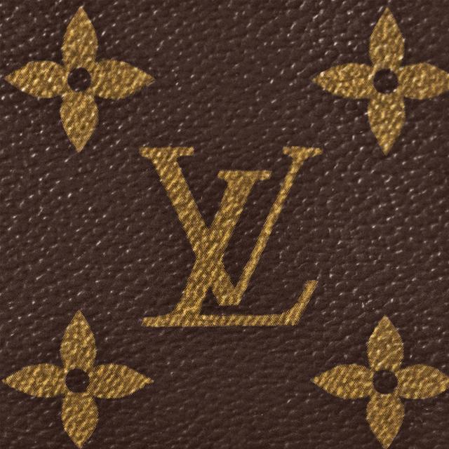 LOUIS VUITTON COIN