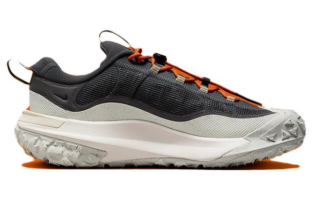 Nike ACG Mountain Fly 2 Low Gore-Tex