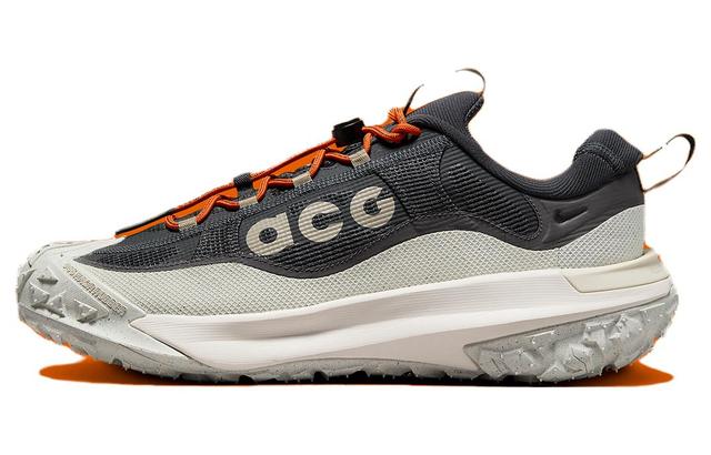 Nike ACG Mountain Fly 2 Low Gore-Tex