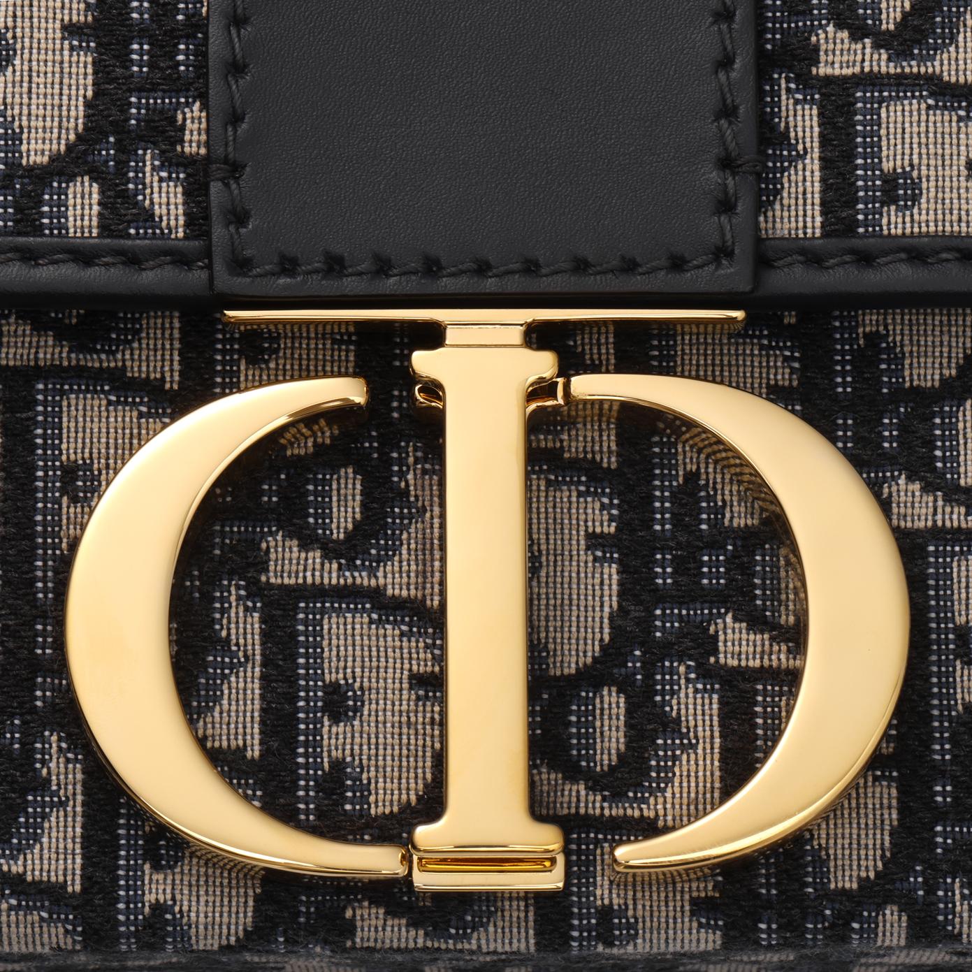 DIOR 30 Montaigne Oblique