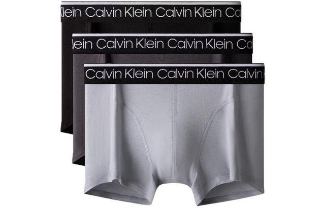 CKCalvin Klein Logo 3