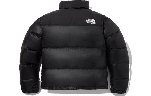 THE NORTH FACE Logo