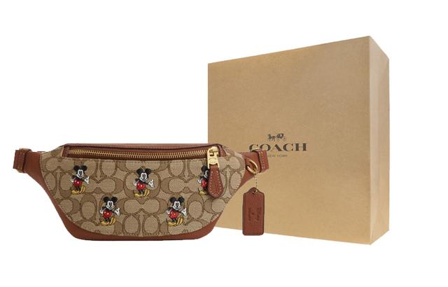 COACH X Disney Gharter 34