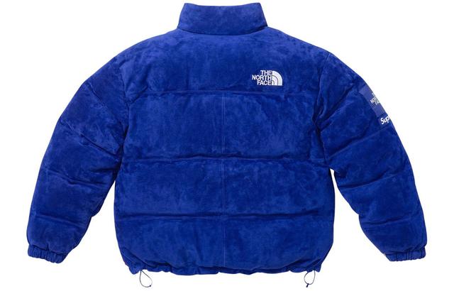 Supreme x THE NORTH FACE Supreme x The North Face FW23 WEEK15 Logo