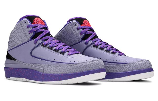 Jordan Air Jordan 2 Retro Iron Purple