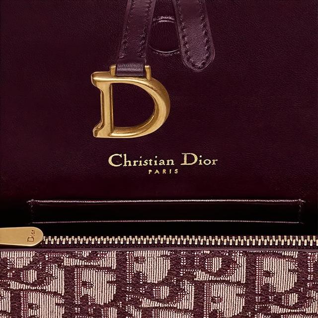 DIOR SaddleOBLIQUE