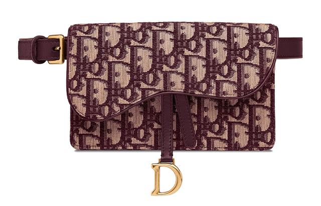 DIOR SaddleOBLIQUE