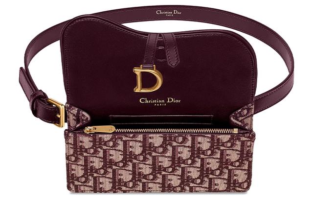 DIOR SaddleOBLIQUE