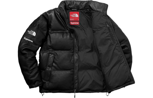 Supreme x THE NORTH FACE FW17