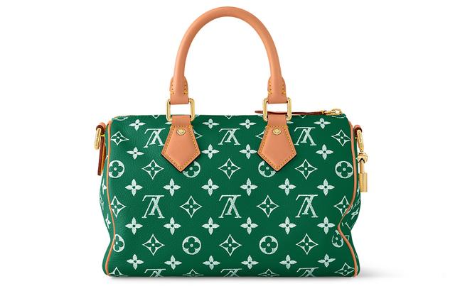 LOUIS VUITTON Speedy 25