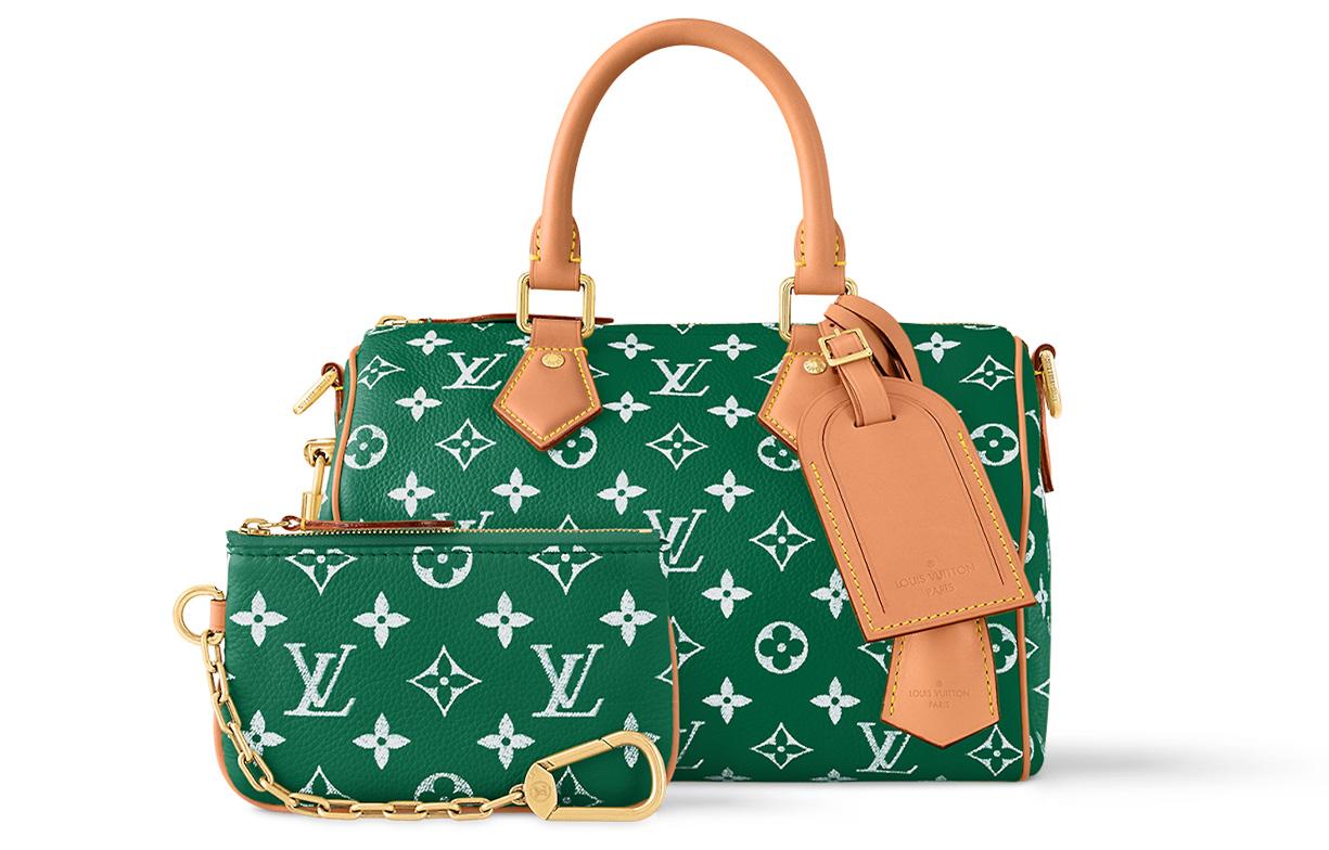 LOUIS VUITTON Speedy 25