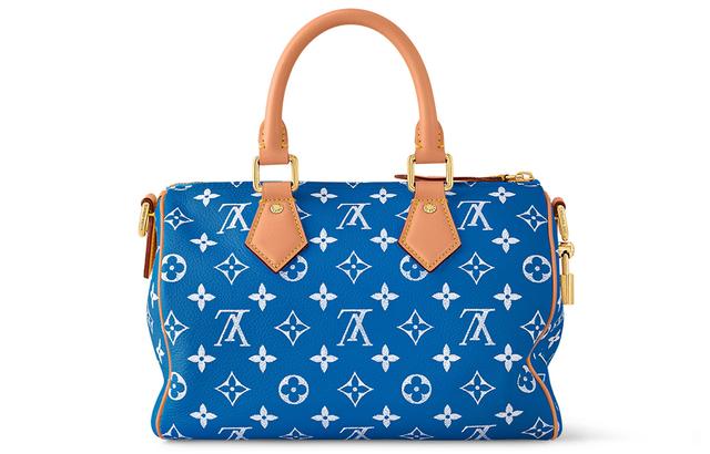 LOUIS VUITTON Speedy 25