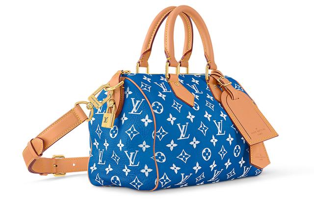 LOUIS VUITTON Speedy 25