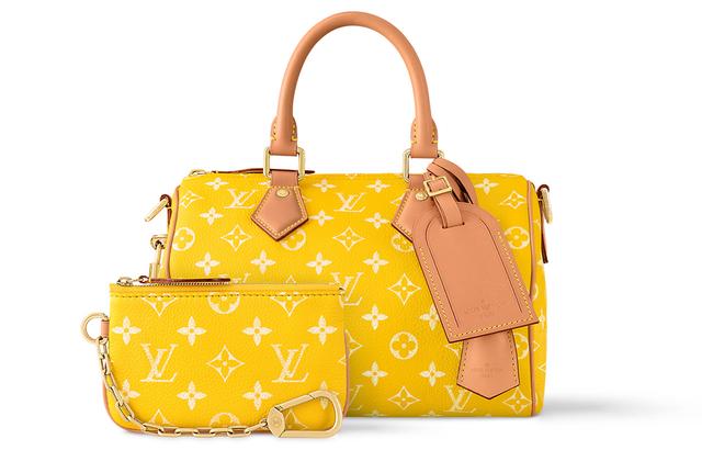 LOUIS VUITTON Speedy 25