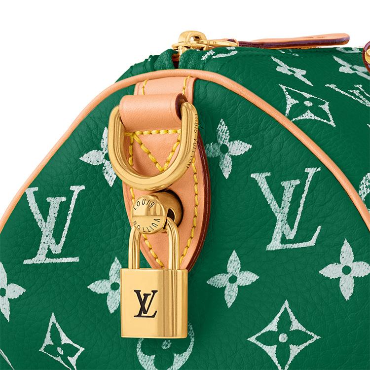 LOUIS VUITTON Speedy 25