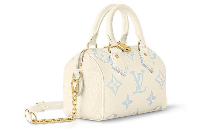 LOUIS VUITTON Speedy 20